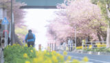 特別支援学校高等部で働いて感じたこと〜軽度知的障害のある生徒の学校生活と就労支援〜